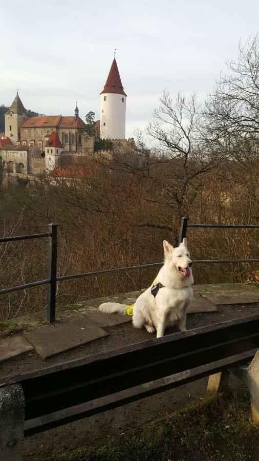 Penzion a Restaurace Nad Hradem Křivoklát Esterno foto